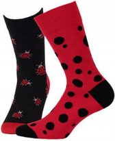 2 pack Gatta-Wola katoenen sokken Funky, 2 verschillende patronen, maat 43-46, Lieveheersbeestje patroon