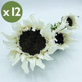 Pak van 12 boeketten van 56 cm Zonnebloem met 3 bloemen in witte kleur