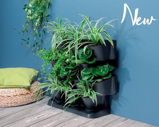 Een donkergrijze verticale tuin gevuld met diverse groene planten, naast een rieten kussen.