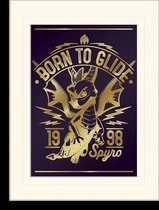 Pyramid Poster - Spyro Mounted & Born To Glide - 40 X 30 Cm - Multicolor