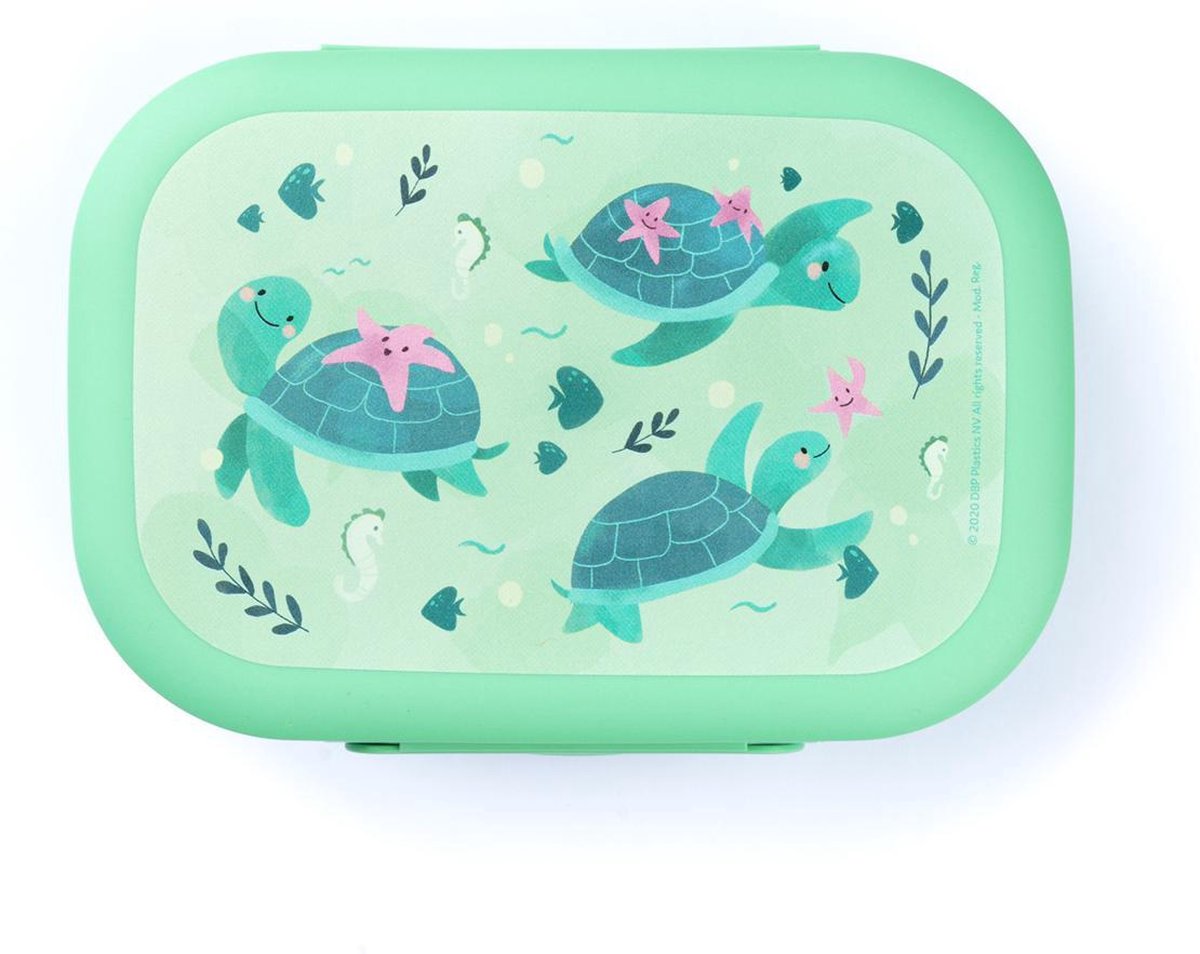 Amuse Plus Sea Life Brooddoos - Broodtrommel - Lunchbox met Handig scharnierdeksel - Vaatwasserbestending - Groen - 500 ml