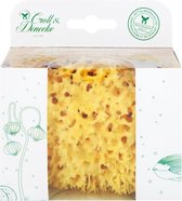 Croll & Denecke Natuurspons – Natuurlijke spons – Ecologische cadeauverpakking - Maat M - ⌀ 11 cm