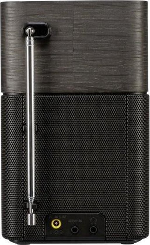 Sony XDRV1BTD Draagbare DAB+ radio met Bluetooth en wekker Zwart