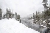 Canvas Schilderij Snowy Forest