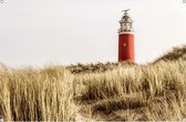 Tuinposter Vuurtoren Texel