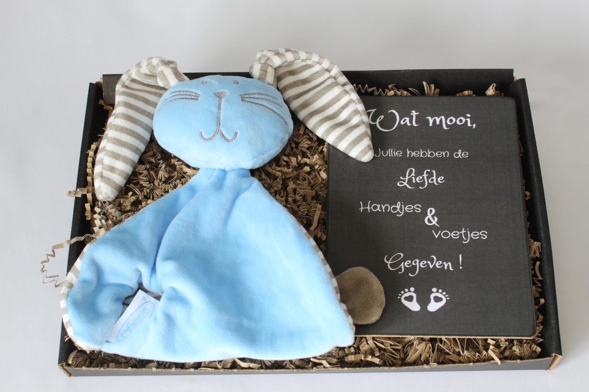 Goedkoopste Brievenbus cadeau knuffelkonijn blauw - kraam cadeau jongen - tutknuffel - tekstbord