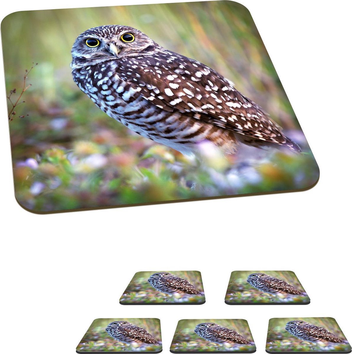 Onderzetters voor glazen - Holenuil in het gras - 10x10 cm - Glasonderzetters - 6 stuks