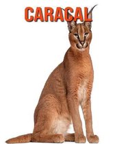 Caracal