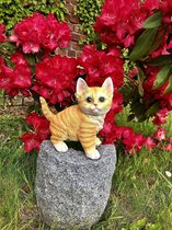 Kat staand klein 3 ass rood 18 cm hoog - kitten - poes - rood - ros - polyester -polystone - beeld - tuinbeeld - hoogkwalitatieve kunststof - decoratiefiguur - interieur - accessoi