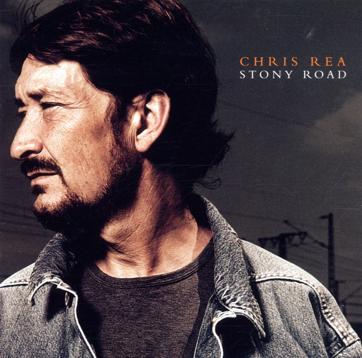Rea Chris - Stony Road