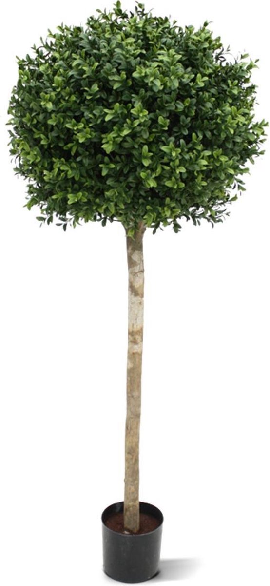 Kunst Buxus bol op stam 110cm - UV bestendig