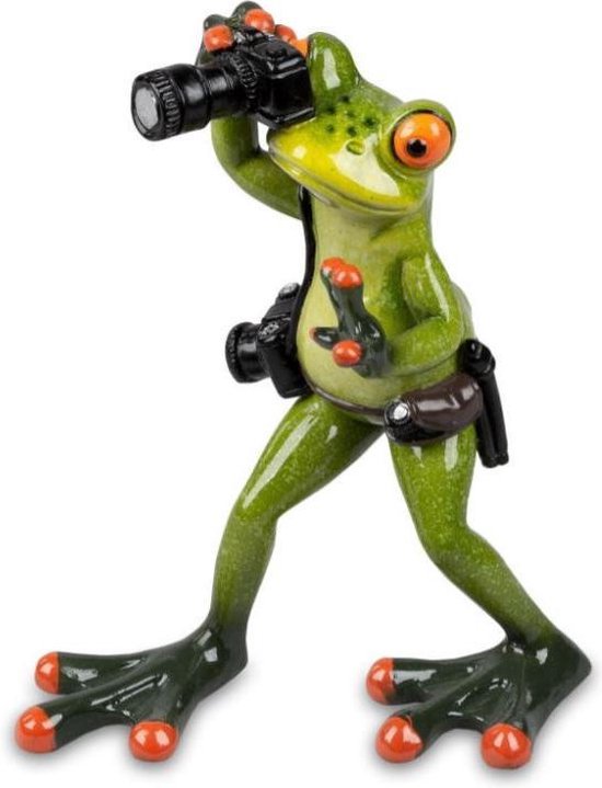 Figurine grenouille photographe