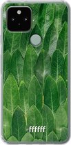 6F hoesje - geschikt voor Google Pixel 5 -  Transparant TPU Case - Green Scales #ffffff