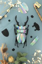 Assembli Paper Stag beetle small-Regenboog reflectie