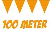 100 Mtr Vlaggenlijn Oranje (10x10mtr)