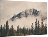 Misty Mountain Forest Sepia - Foto op Canvas - 150 x 100 cm