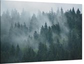 Misty Forest - Foto op Canvas - 90 x 60 cm