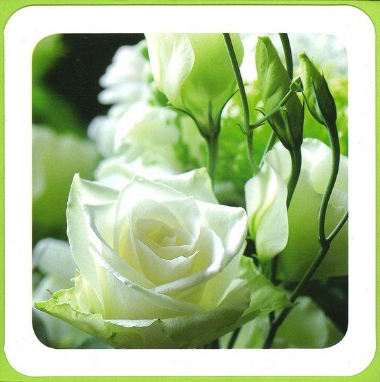 6 Cartes de vœux avec enveloppe - Carré - Blanco - Fleurs - Enveloppe colorée - 16 x 16 cm