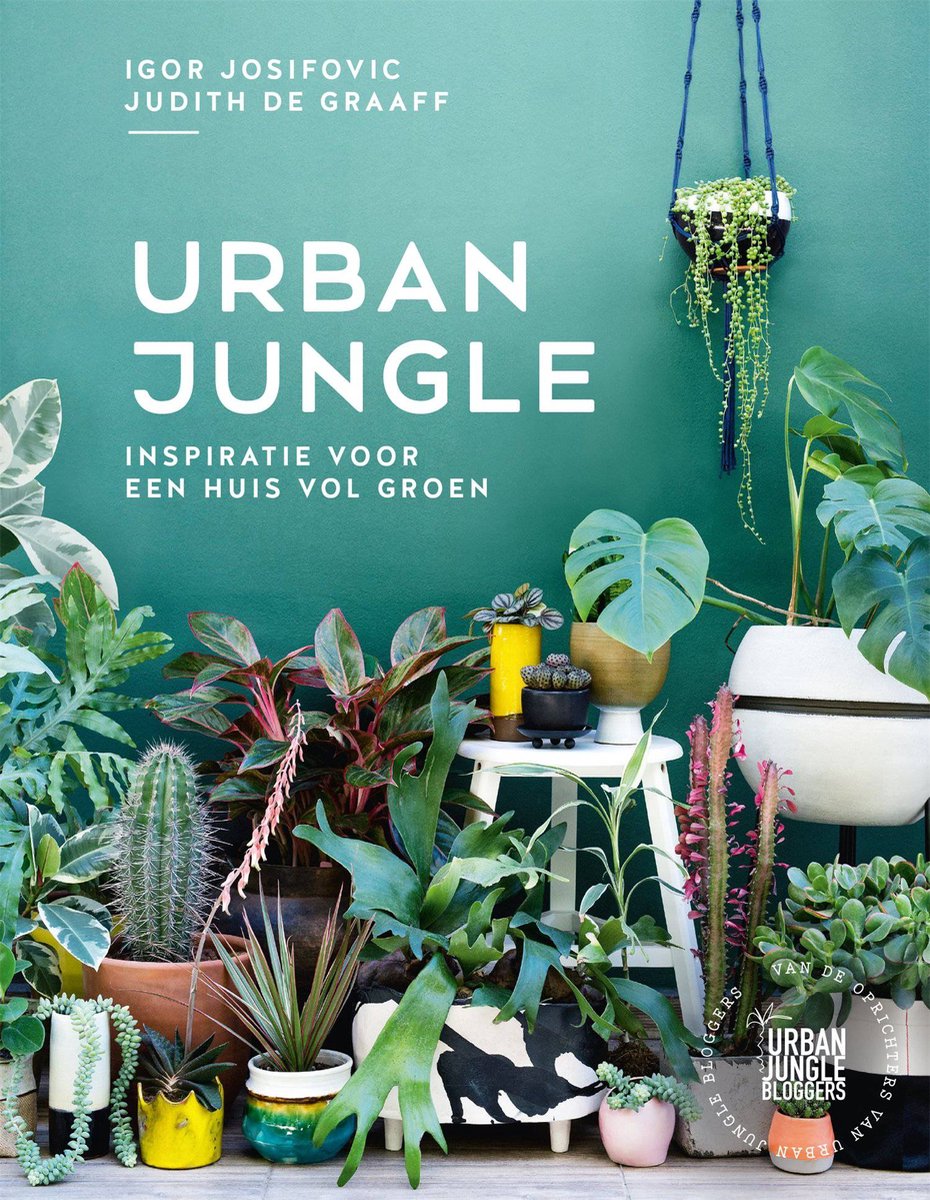 Urban Jungle - Igor Josifovic