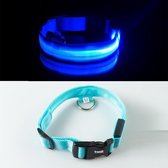 Lichtgevende Halsband Anti Verloren - Licht LED Kraag - Honden Halsbanden - Blauw
