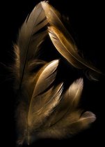 Plume Feathers – 60cm x 90cm – Fotokunst op Plexiglas – Incl. blind ophangsysteem – Gratis verzending – Plexiglas Schilderij