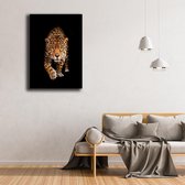 KEK Original - Dieren Luipaard - wanddecoratie - 60 x 90 cm - muurdecoratie - Dibond 3mm -  schilderij