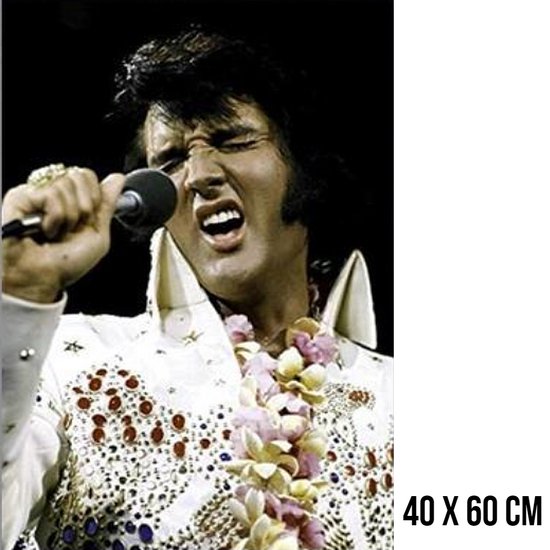 Allernieuwste.nl® Canvas Schilderij Elvis Presley in Concert - Muziek Legende - kleur - 40 x 60 cm