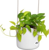Elho B.for Swing 18 Hangpot - Bloempot voor Binnen - Inclusief Verstelbaar Hangkoort - Ø 18.0 x H 16.5 cm - Wit