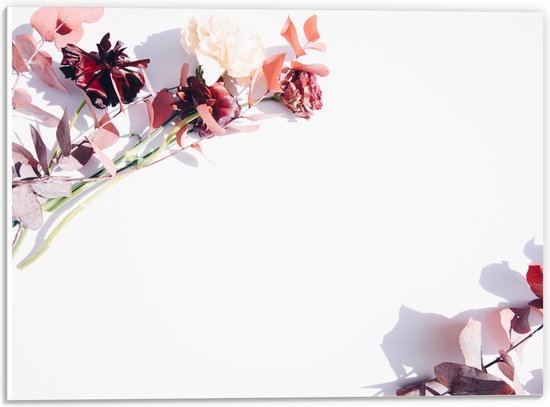 PVC Schuimplaat- Kader van Tak met Roze Bloemen - 40x30 cm Foto op PVC Schuimplaat