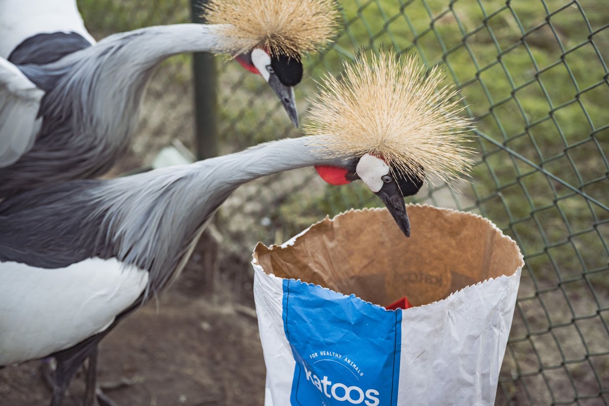 Katoos - Allround supreme pellet voor sierwatervogels