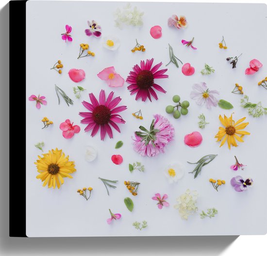 Canvas - Verschillende Soorten en Kleuren Bloemen op Witte Achtergrond - 30x30 cm Foto op Canvas Schilderij (Wanddecoratie op Canvas)