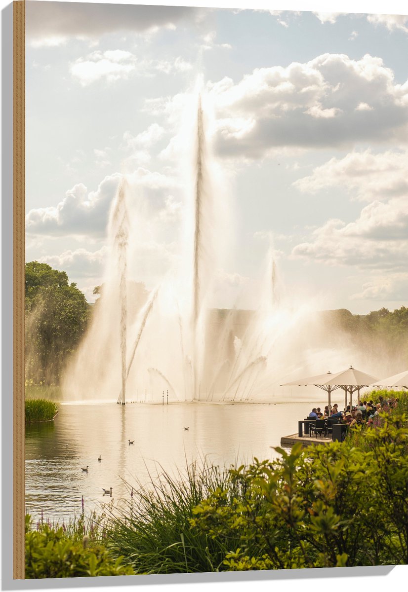 Hout - Waterfontein in een Meer - 60x90 cm - 9 mm dik - Foto op Hout (Met Ophangsysteem)
