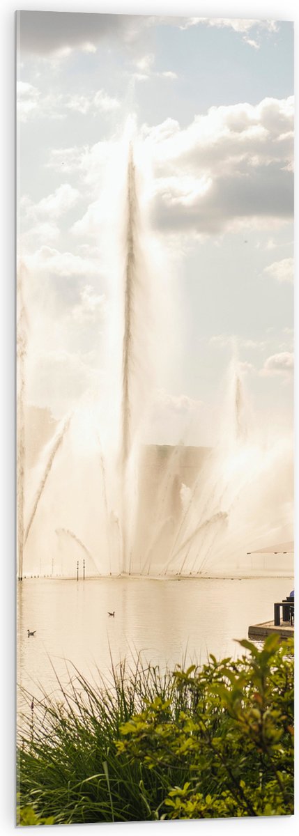 Acrylglas - Waterfontein in een Meer - 40x120 cm Foto op Acrylglas (Wanddecoratie op Acryl