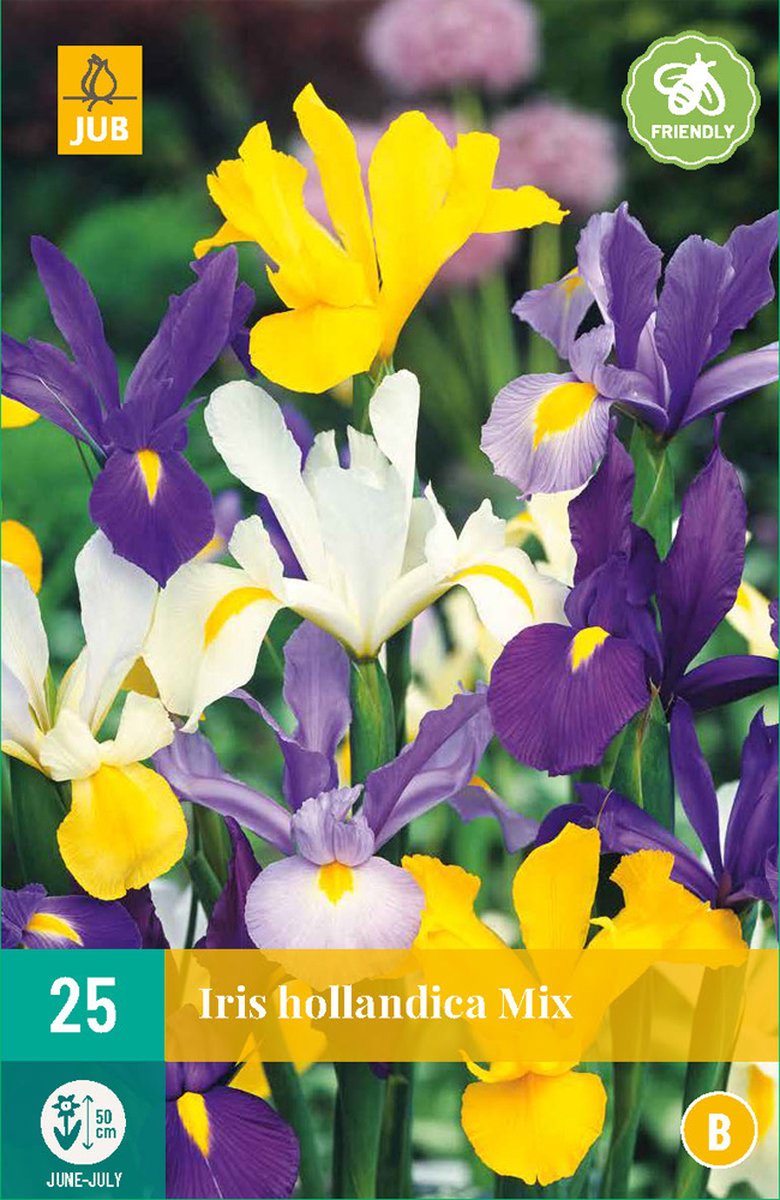 Iris hollandica mix - 25st - Bloembollen - JUB Holland
