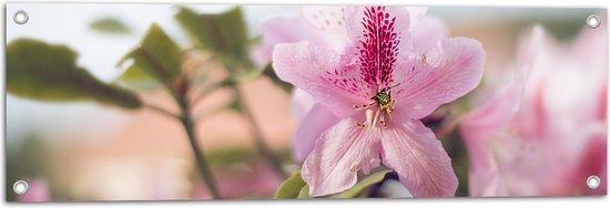 Tuinposter – Kleine Wesp op Roze Azalea Bloem - 90x30 cm Foto op Tuinposter (wanddecoratie voor buiten en binnen)