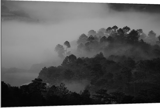 Dibond - Mist door Donkere Bomen (Zwart- wit) - 120x80 cm Foto op Aluminium (Met Ophangsysteem)