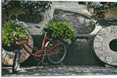 WallClassics - Dibond - Rode Fiets versierd met Planten tegen Stenen Muur - 75x50 cm Foto op Aluminium (Wanddecoratie van metaal)