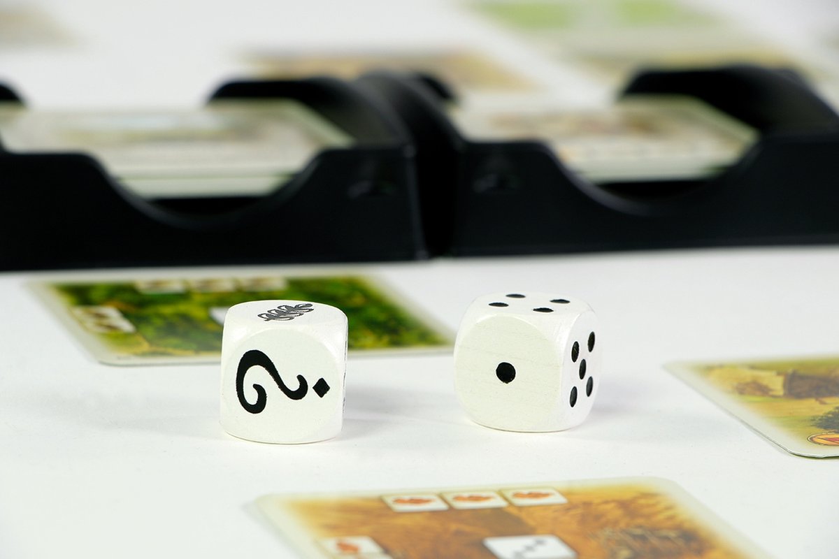 999 Games - Catan: Het Duel Kaartspel — afbeelding 5