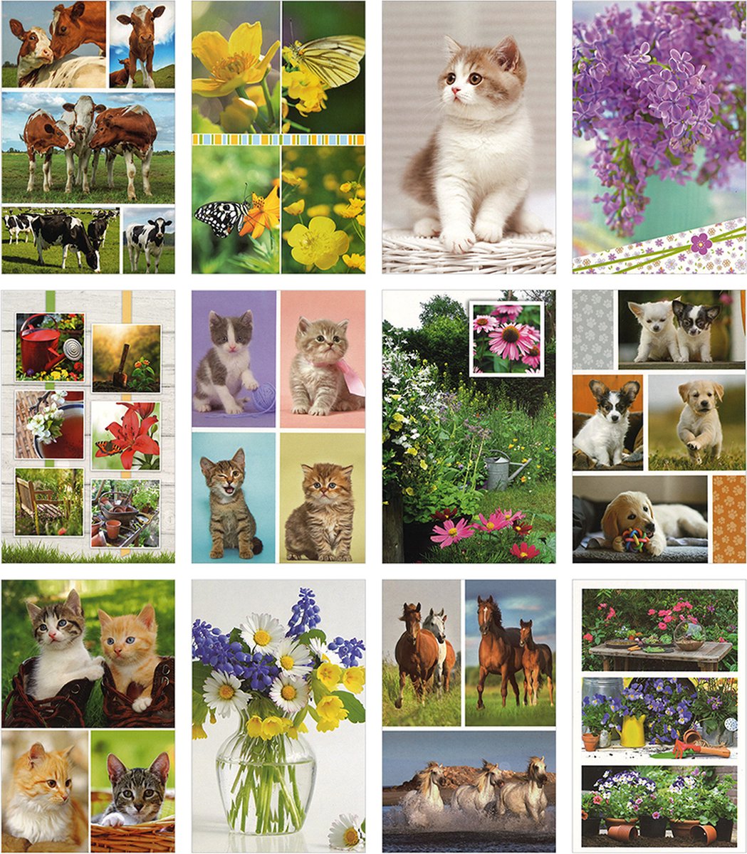 MGPcards - 12 wenskaarten met envelop - Zonder Tekst - Dieren - Bloemen
