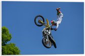 WallClassics - PVC Schuimplaat - Freestyle Motocross boven Boom - 60x40 cm Foto op PVC Schuimplaat (Met Ophangsysteem)