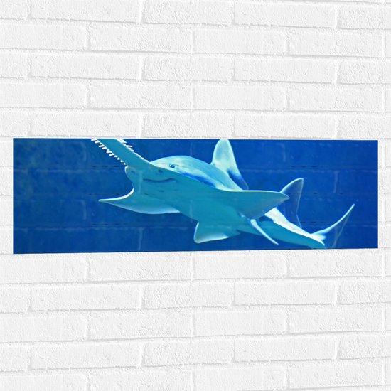 WallClassics - Muursticker - Zaaghaai in Helderblauwe Oceaan - 90x30 cm Foto op Muursticker