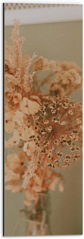 Dibond - Droge Oranje Bloemen in Vaas tegen Beige Muur - 20x60 cm Foto op Aluminium (Wanddecoratie van metaal)