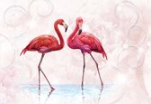 Fotobehang - Vlies Behang - Flamingo's op een Roze Achtergrond - 152,5 x 104 cm