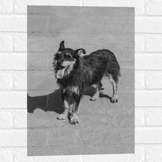 Muursticker - Hond met Uitstekende Tong (zwart- wit) - 40x60 cm Foto op Muursticker