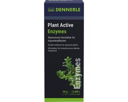 Plant Active Enzymes 50g