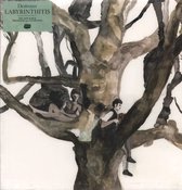 Destroyer - Labyrinthitis (LP) (Coloured Vinyl)