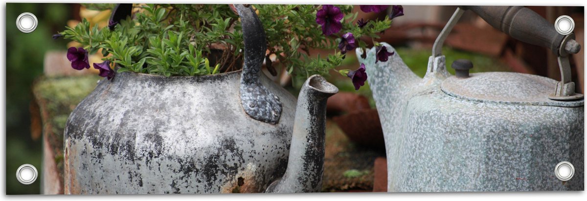 Tuinposter – Groene Plantjes met Paarse Bloemen Groeiend in IJzeren Gieters - 60x20 cm Foto op Tuinposter (wanddecoratie voor buiten en binnen)