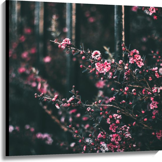 Canvas - Roze Bloemenstruik in Donker Kleurig Bos - 100x100 cm Foto op Canvas Schilderij (Wanddecoratie op Canvas)
