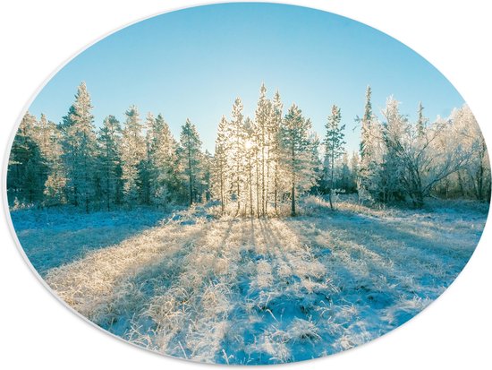 PVC Schuimplaat Ovaal - Ochtend Zonnestralen over Wit Sneeuwlandschap - 40x30 cm Foto op Ovaal (Met Ophangsysteem)