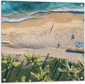 Tuinposter – Bovenaanzicht van Palmbomen op Grasveld aan het Strand bij Tropische Zee - 80x80 cm Foto op Tuinposter (wanddecoratie voor buiten en binnen)